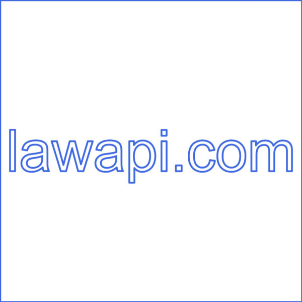 lawapi.com original domain preview